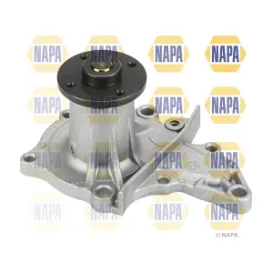 NAPA NWP1669