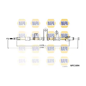 NPC1954 NAPA
