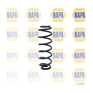 NCS1219 NAPA