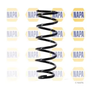 NCS1379 NAPA