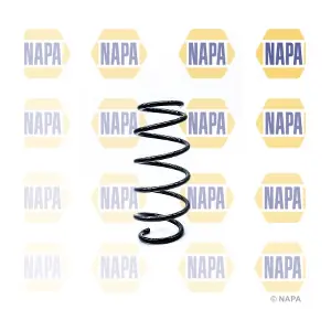 NCS1221 NAPA