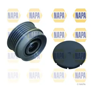 NOP1018 NAPA