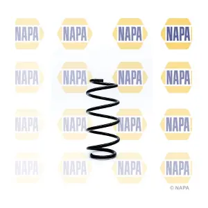 NCS1193 NAPA