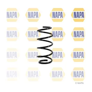 NCS1106 NAPA