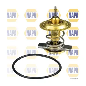 NTH1099 NAPA