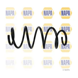 NCS1793 NAPA