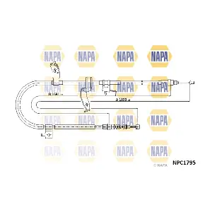 NPC1795 NAPA