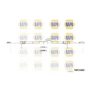 NPC1902 NAPA