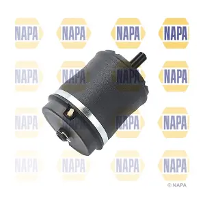 NAS1019 NAPA