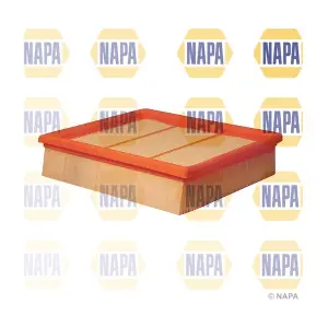 NFA1095 NAPA
