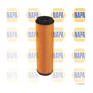 NFO3080 NAPA