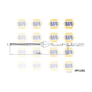 NAPA NPC1282