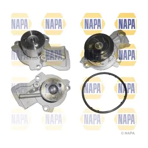 NWP1065 NAPA