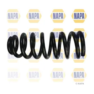 NCS1816 NAPA
