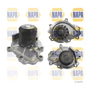 NAPA NWP1559