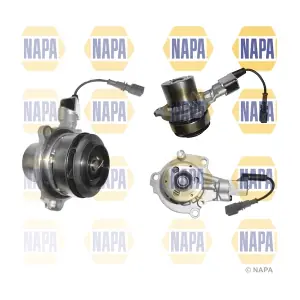 NWP1069 NAPA