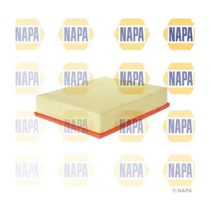 NFA1229 NAPA