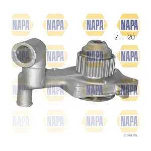 NAPA NWP1174