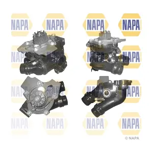 NWP1051 NAPA