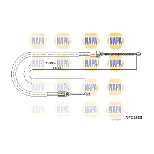 NAPA NPC1323