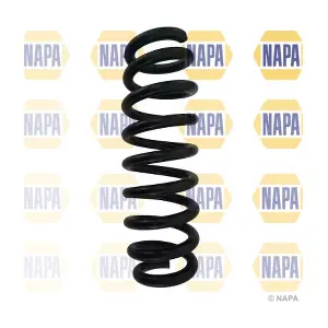 NCS1623 NAPA