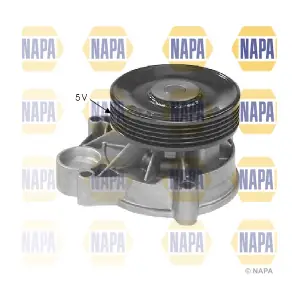 NAPA NWP1129