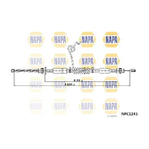 NPC1241 NAPA