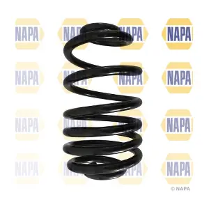 NCS1570 NAPA