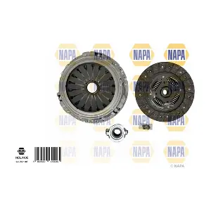 NCL1105 NAPA