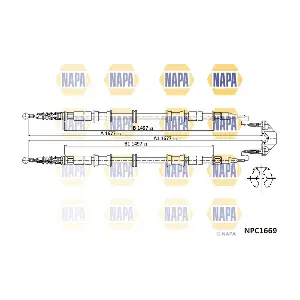NPC1669 NAPA