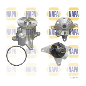 NAPA NWP1156