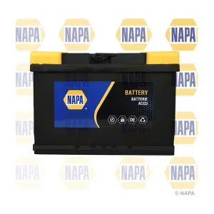 NAPA 096N