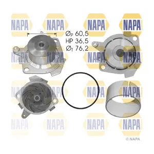 NAPA NWP1487