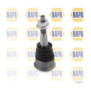 NST0262 NAPA