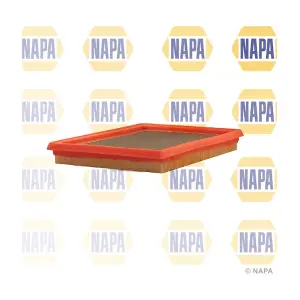 NAPA NFA1013