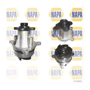 NAPA NWP1216