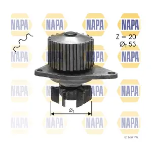 NAPA NWP1130