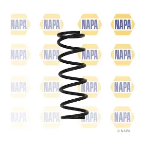 NCS1574 NAPA