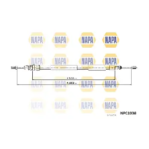 NPC1038 NAPA