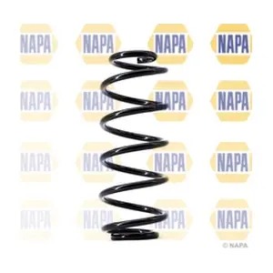 NCS1441 NAPA