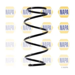 NCS1438 NAPA
