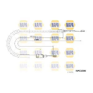 NAPA NPC1036