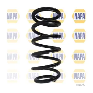 NCS1619 NAPA