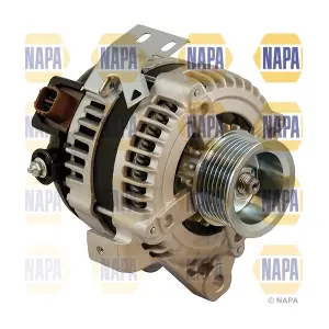 NAL1568 NAPA