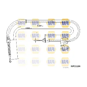 NPC1134 NAPA