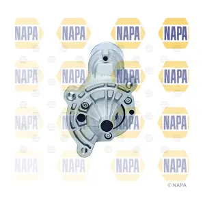 NAPA NDE2019
