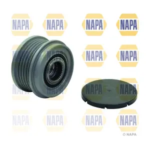 NOP1065 NAPA