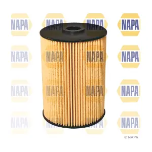 NAPA NFF2055