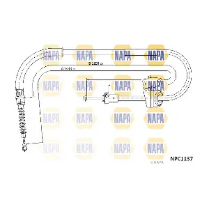 NPC1137 NAPA