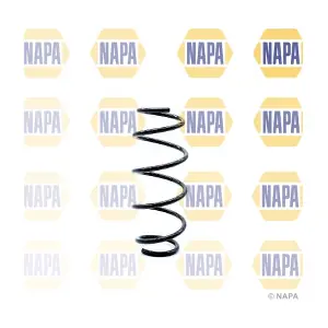 NCS1273 NAPA